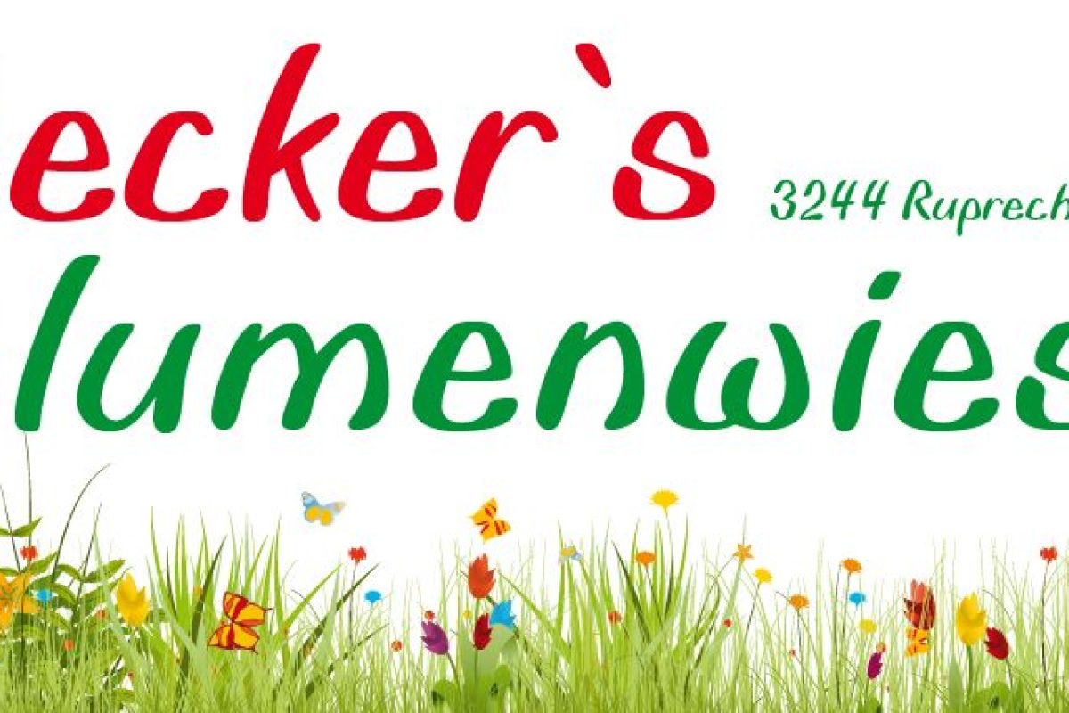 logo-becker-blumen